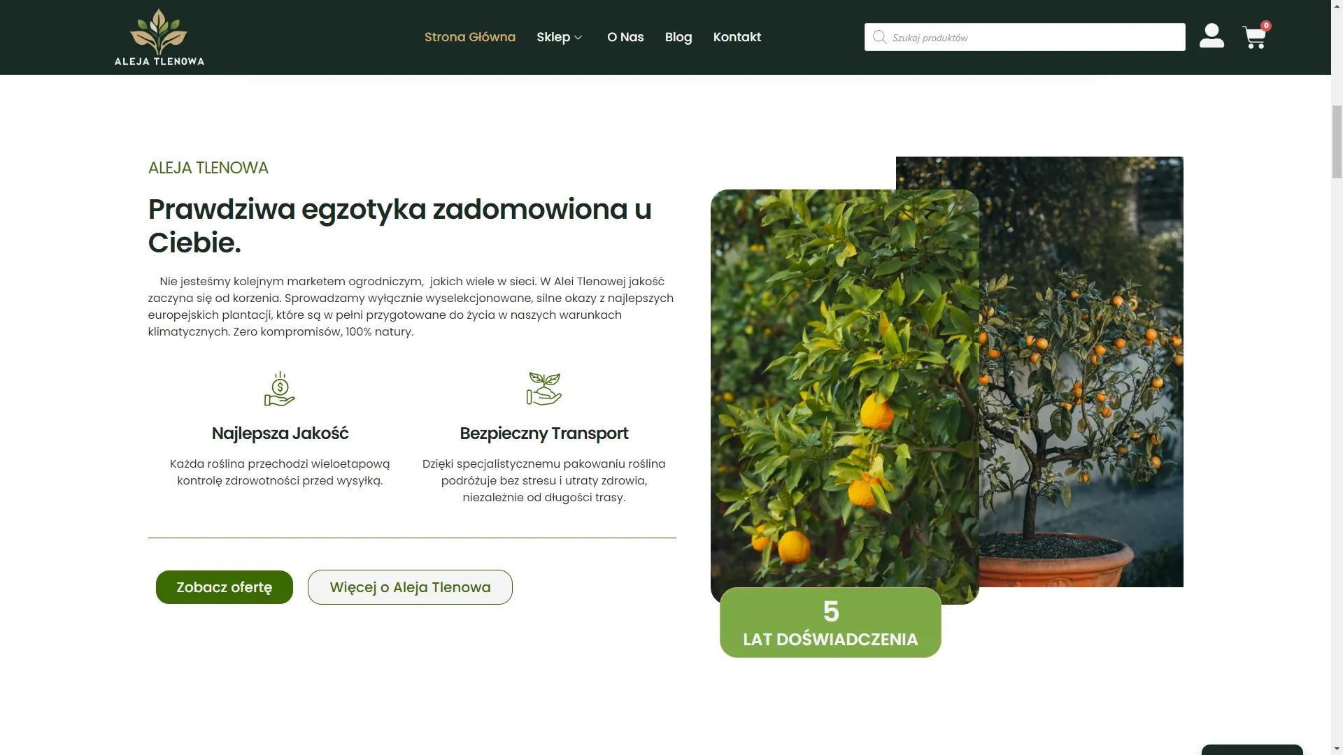 Aleja Tlenowa — sekcja hero