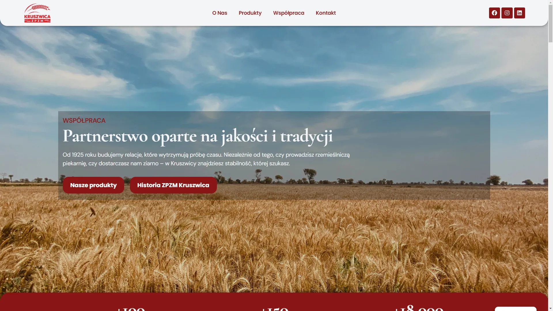 ZPZM Kruszwica — sekcja hero 2