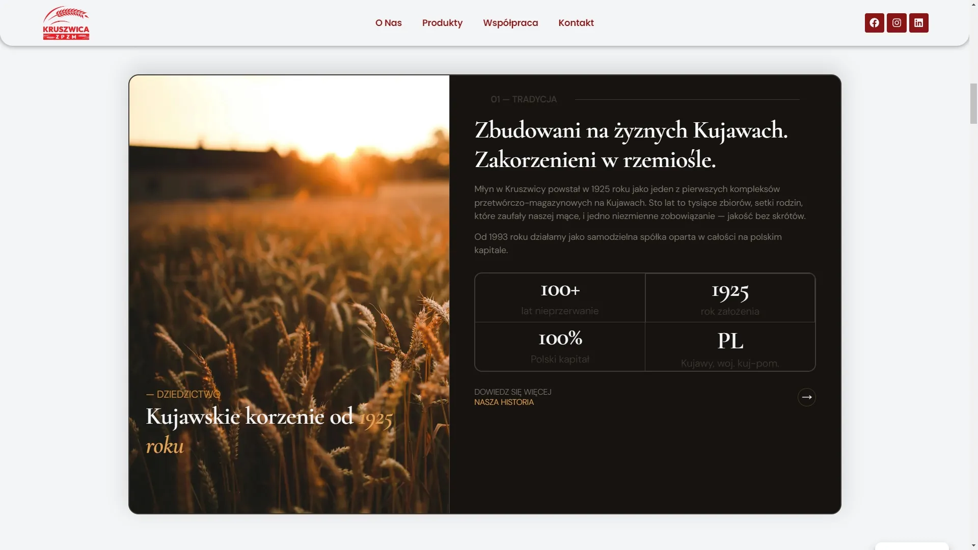 ZPZM Kruszwica — karta oferty 1