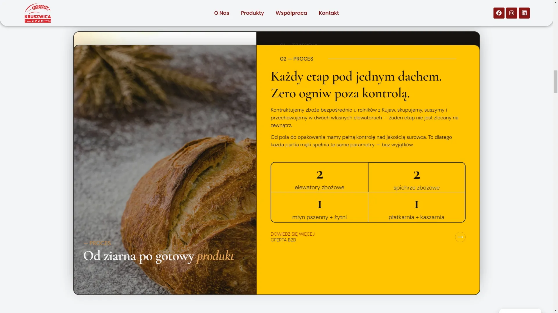 ZPZM Kruszwica — karta oferty 2