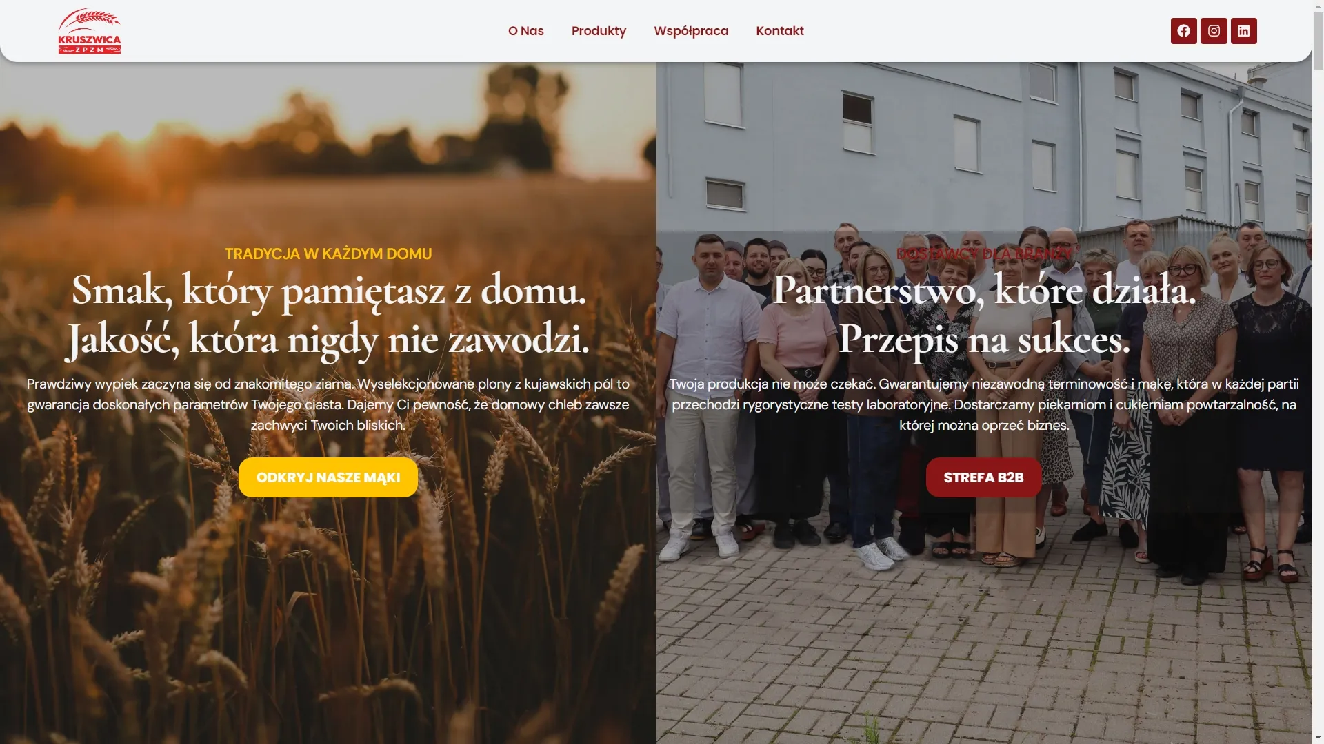 ZPZM Kruszwica — strona główna