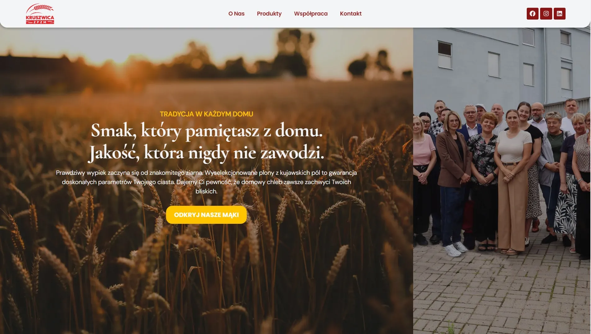 ZPZM Kruszwica — sekcja hero
